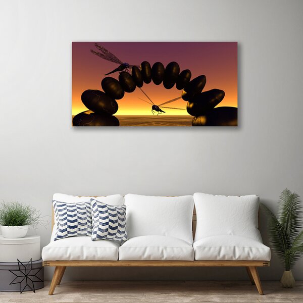 Obraz Canvas Vážky kamene umenie 100x50 cm