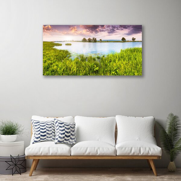 Obraz Canvas Tráva jazero príroda 100x50 cm