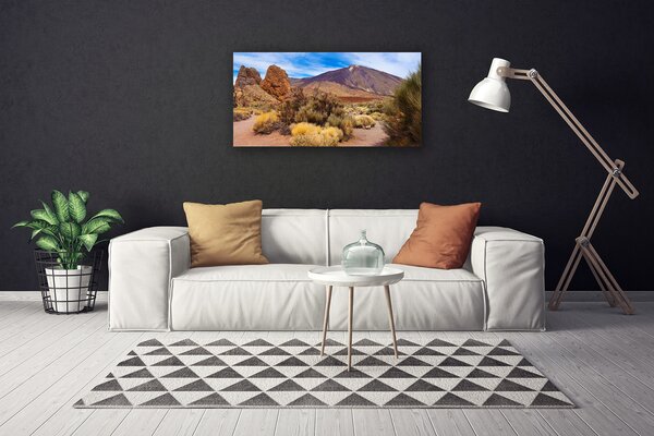 Obraz Canvas Hory rastliny skaly krajina 100x50 cm