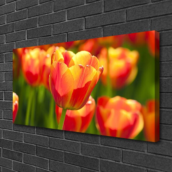 Obraz Canvas Tulipány kvety rastlina 100x50 cm