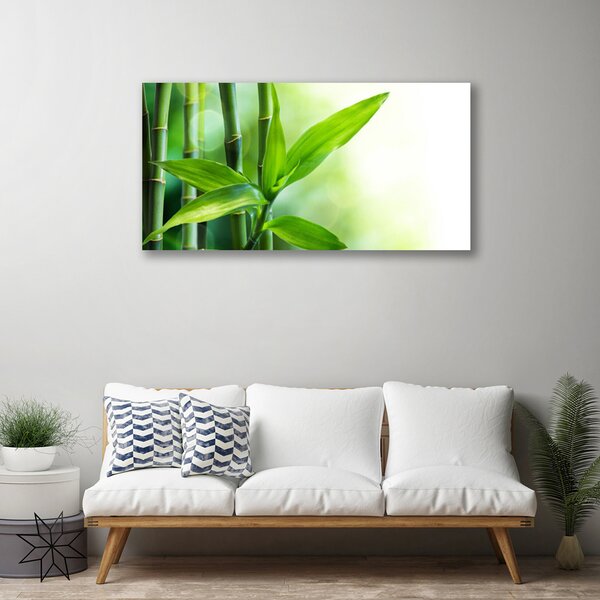Obraz Canvas Bambus list rastlina príroda 100x50 cm