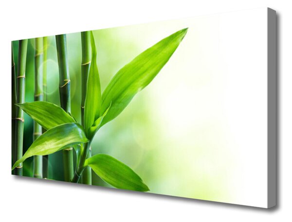 Obraz Canvas Bambus list rastlina príroda 125x50 cm
