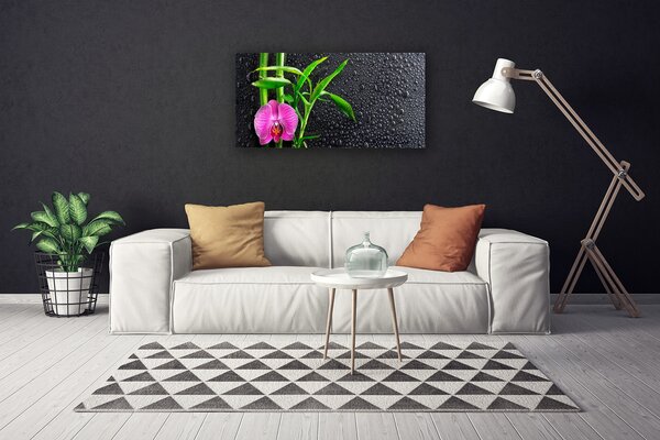 Obraz Canvas Bambus kvet kvapky 100x50 cm