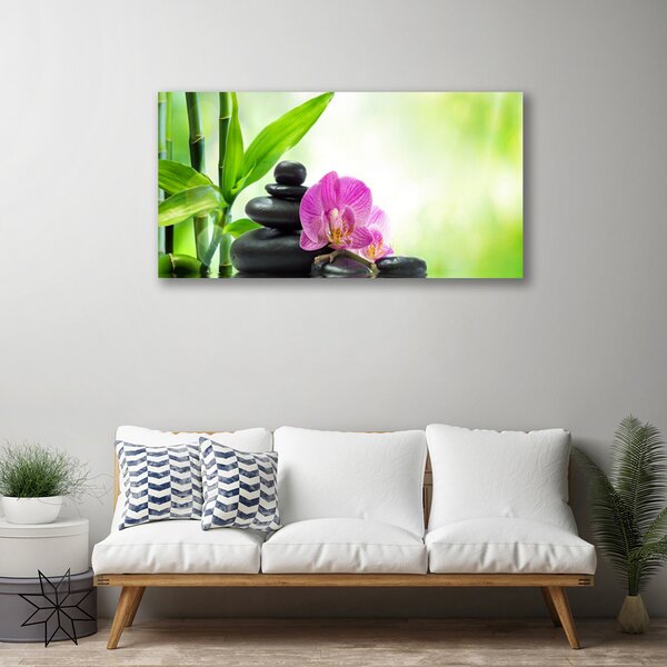 Obraz Canvas Bambus kamene zen umenie 100x50 cm