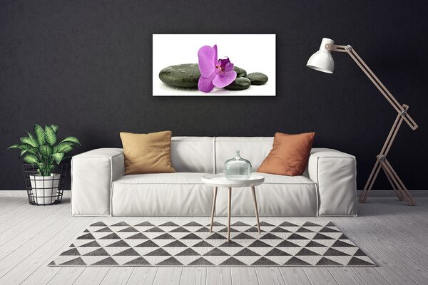 Obraz Canvas Kvet kamene umenie 100x50 cm