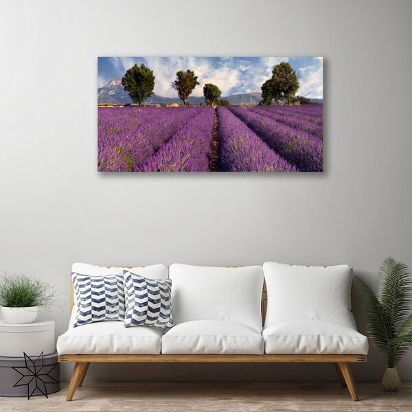 Obraz Canvas Lúka stromy príroda 100x50 cm