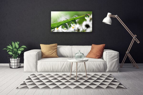 Obraz Canvas Tráva rosa kvapky príroda 100x50 cm
