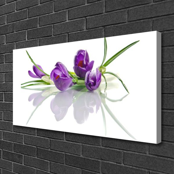 Obraz Canvas Kvety rastlina príroda 100x50 cm
