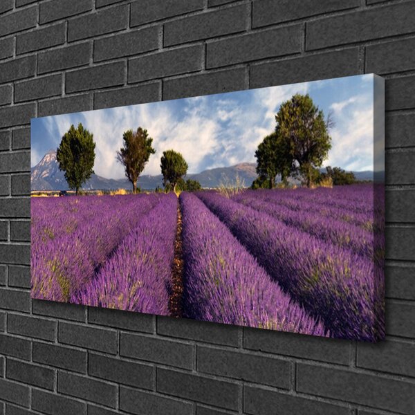 Obraz Canvas Lúka stromy príroda 100x50 cm