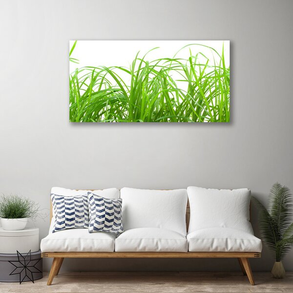 Obraz Canvas Tráva rastlina príroda 100x50 cm