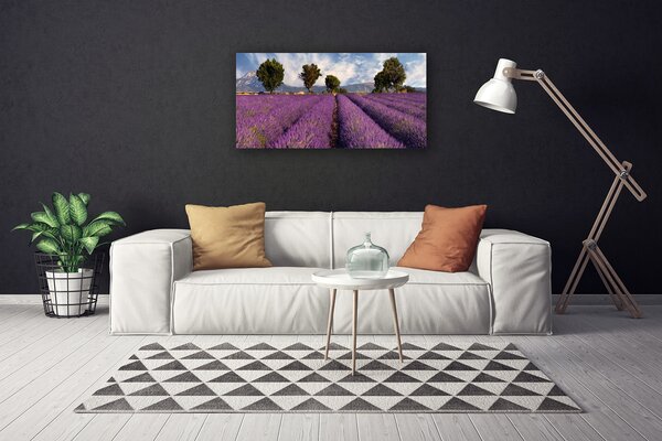 Obraz Canvas Lúka stromy príroda 100x50 cm