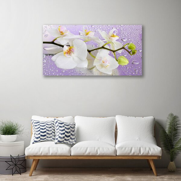 Obraz Canvas Kvety rastlina príroda 100x50 cm