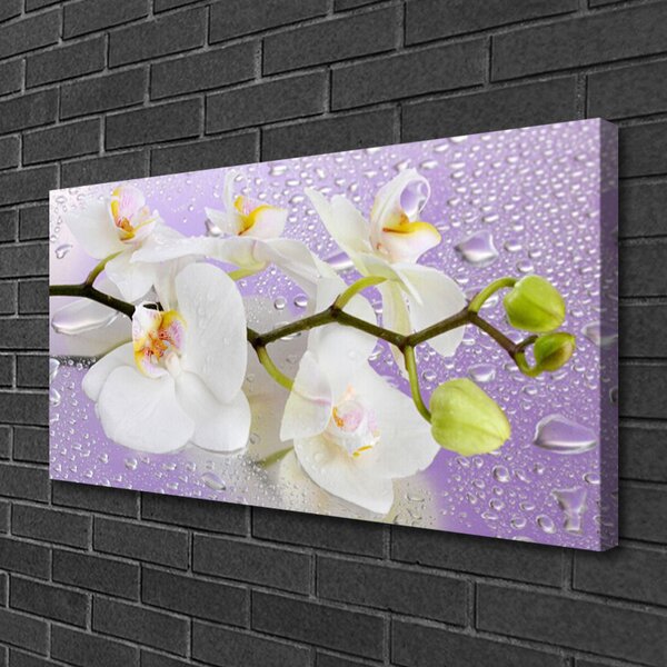 Obraz Canvas Kvety rastlina príroda 100x50 cm