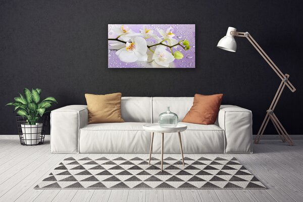 Obraz Canvas Kvety rastlina príroda 100x50 cm