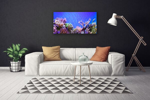 Obraz Canvas Koralový útes príroda 100x50 cm