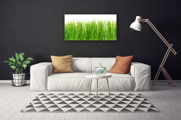 Obraz Canvas Tráva rastlina príroda 100x50 cm