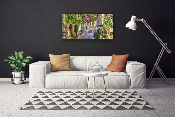 Obraz Canvas Aleje kvety domy rastlina 100x50 cm