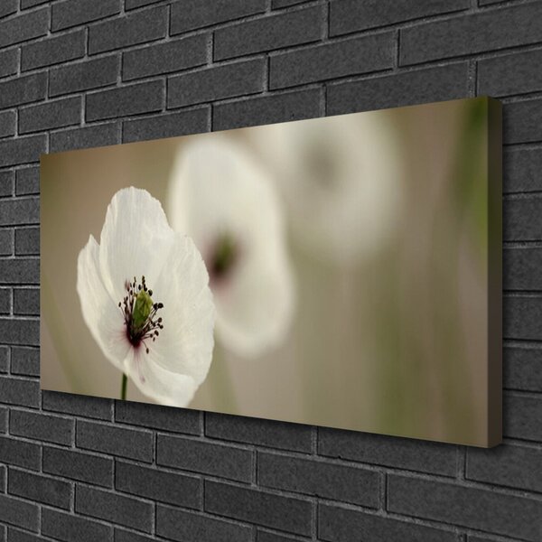 Obraz Canvas Kvet rastlina príroda 100x50 cm