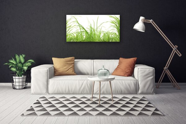 Obraz Canvas Tráva rastlina príroda 100x50 cm