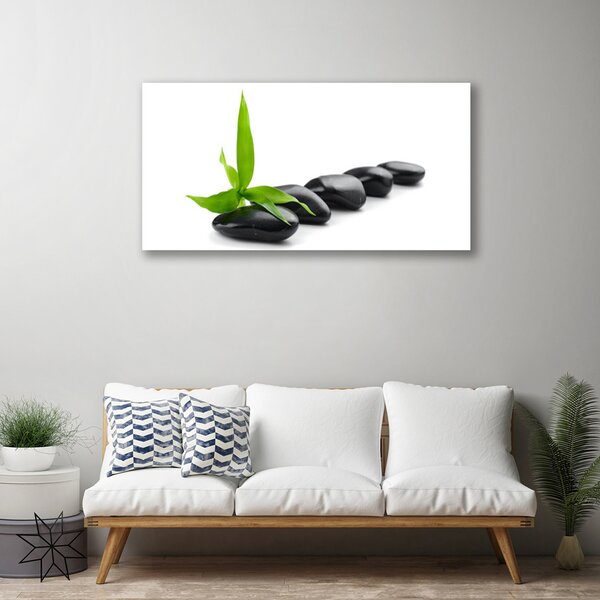 Obraz Canvas Kamene listy umenie 100x50 cm