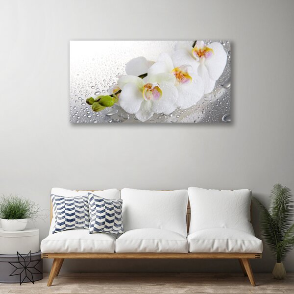 Obraz Canvas Kvety rastlina príroda 100x50 cm