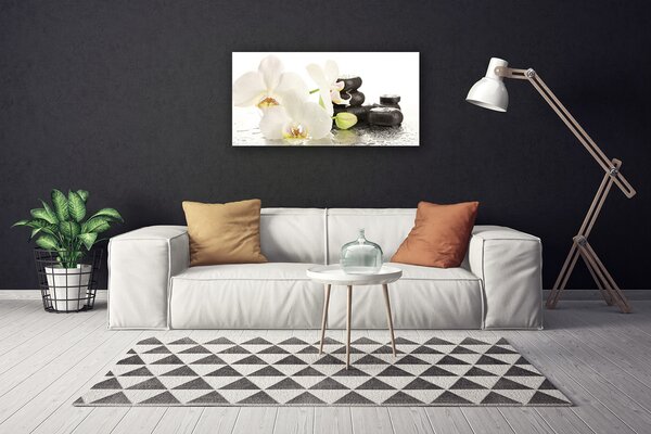 Obraz Canvas Kvet kamene rastlina 100x50 cm