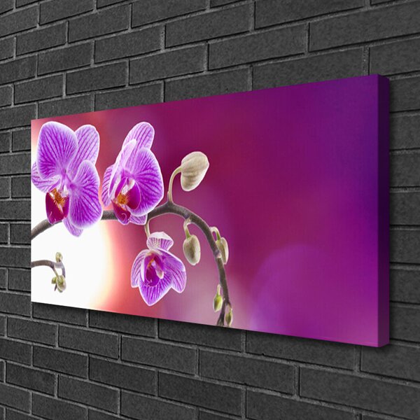 Obraz Canvas Kvety rastlina príroda 100x50 cm