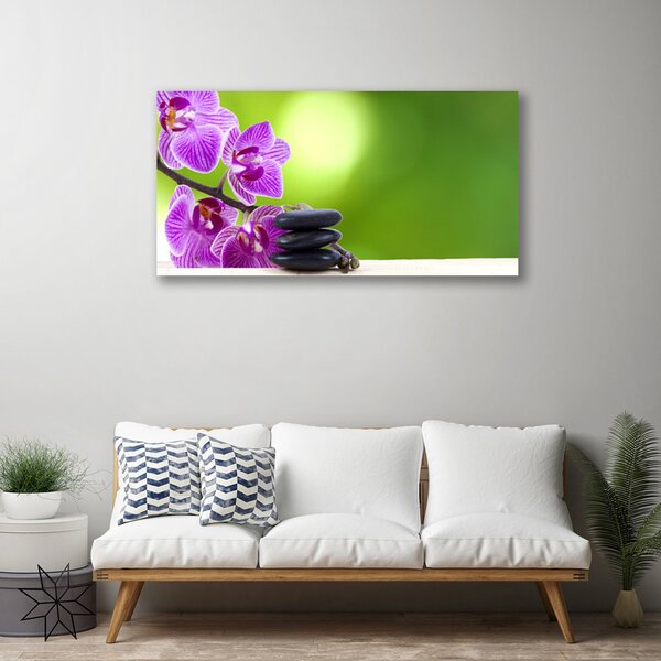 Obraz Canvas Kvet kamene rastlina 100x50 cm