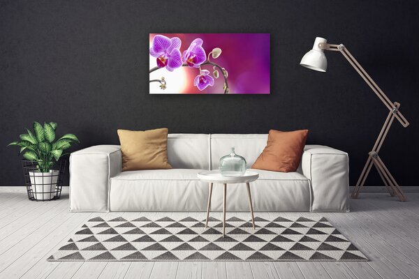 Obraz Canvas Kvety rastlina príroda 100x50 cm