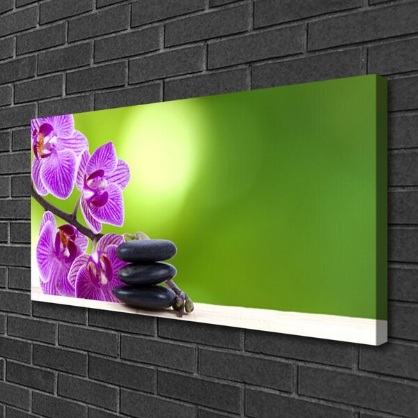 Obraz Canvas Kvet kamene rastlina 100x50 cm