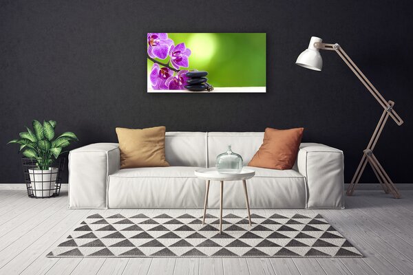 Obraz Canvas Kvet kamene rastlina 100x50 cm
