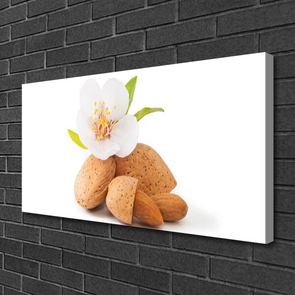 Obraz Canvas Kvet pistácie príroda 100x50 cm