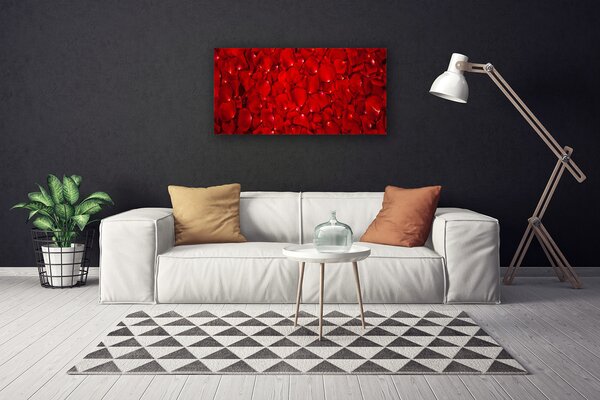 Obraz Canvas Plátky rastlina príroda 100x50 cm