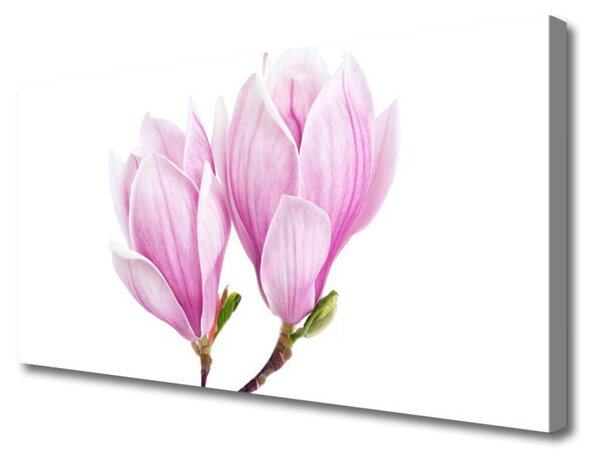 Obraz Canvas Kvet rastlina príroda 125x50 cm