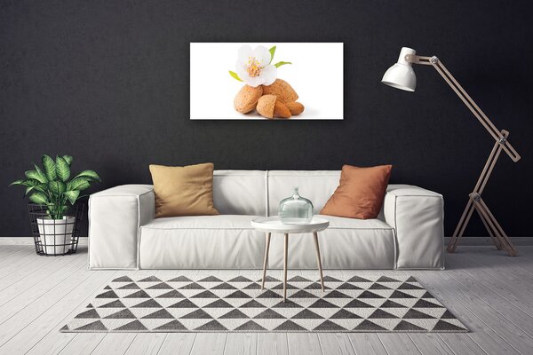 Obraz Canvas Kvet pistácie príroda 100x50 cm