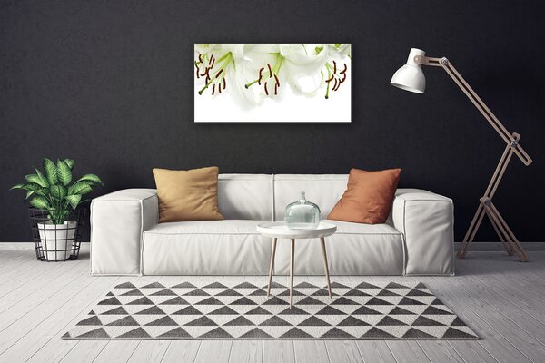 Obraz Canvas Kvety rastlina príroda 100x50 cm