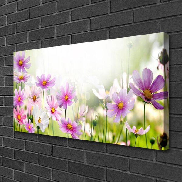 Obraz Canvas Kvety rastlina príroda 100x50 cm