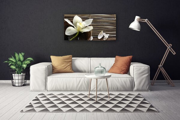 Obraz Canvas Kvet rastlina príroda 100x50 cm