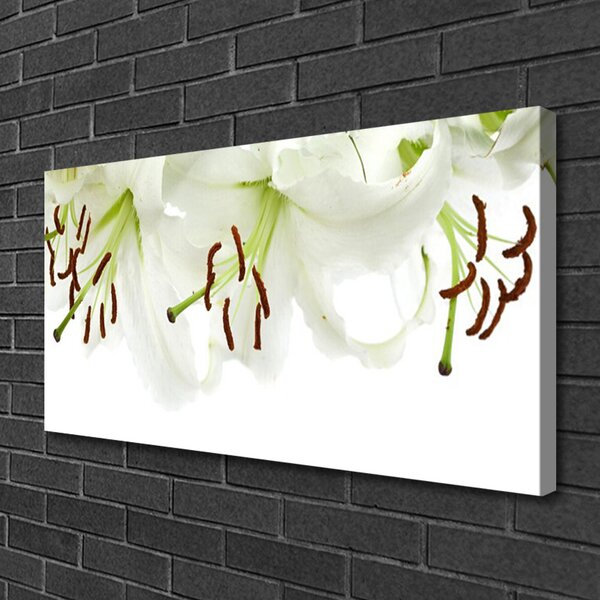 Obraz Canvas Kvety rastlina príroda 100x50 cm