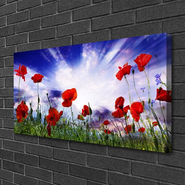 Obraz Canvas Maky rastlina príroda 100x50 cm