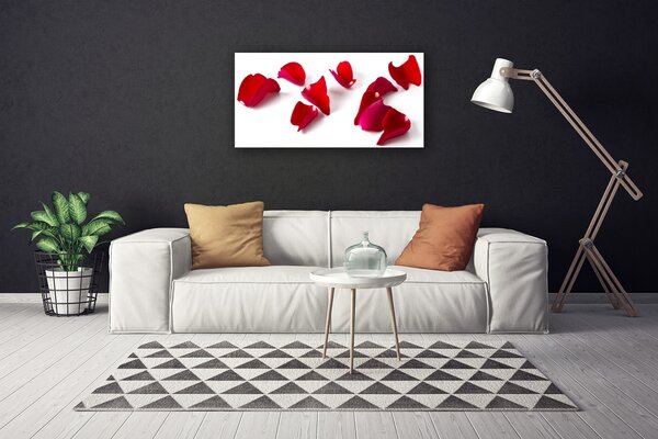 Obraz Canvas Plátky rastlina príroda 100x50 cm
