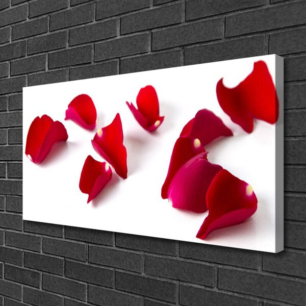 Obraz Canvas Plátky rastlina príroda 100x50 cm