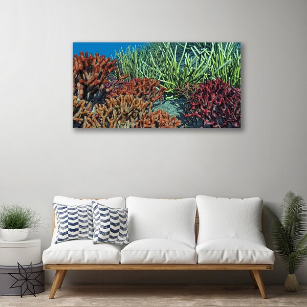 Obraz Canvas Koralový útes príroda 100x50 cm