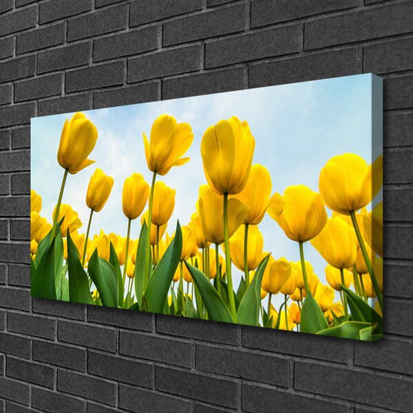 Obraz Canvas Tulipány kvety rastlina 100x50 cm