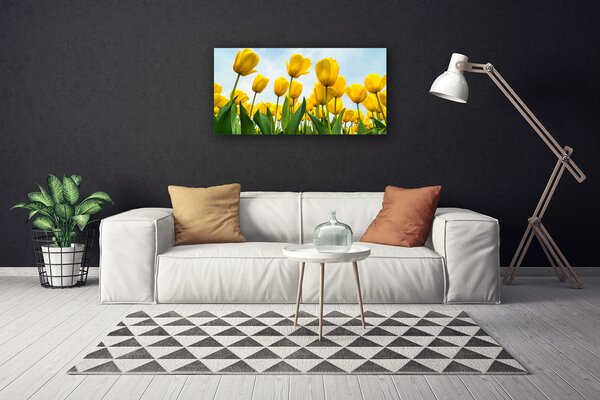 Obraz Canvas Tulipány kvety rastlina 100x50 cm