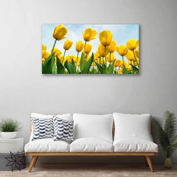 Obraz Canvas Tulipány kvety rastlina 100x50 cm