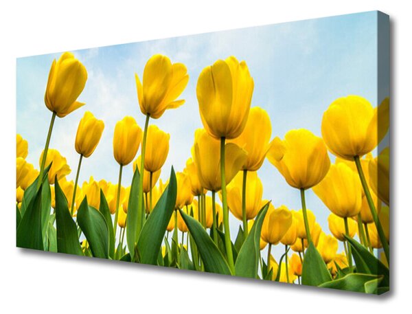Obraz Canvas Tulipány kvety rastlina 100x50 cm