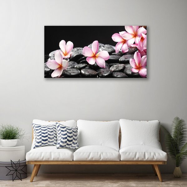 Obraz Canvas Kvet kamene rastlina 100x50 cm
