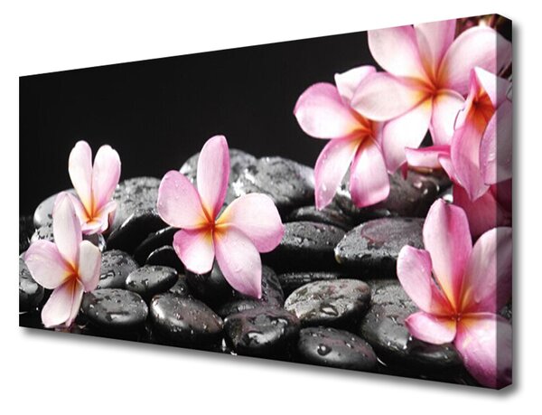 Obraz Canvas Kvet kamene rastlina 125x50 cm