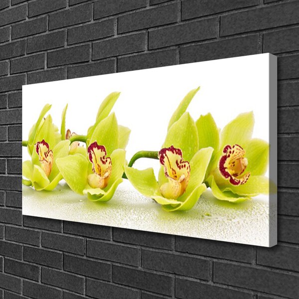 Obraz Canvas Kvety rastlina príroda 100x50 cm